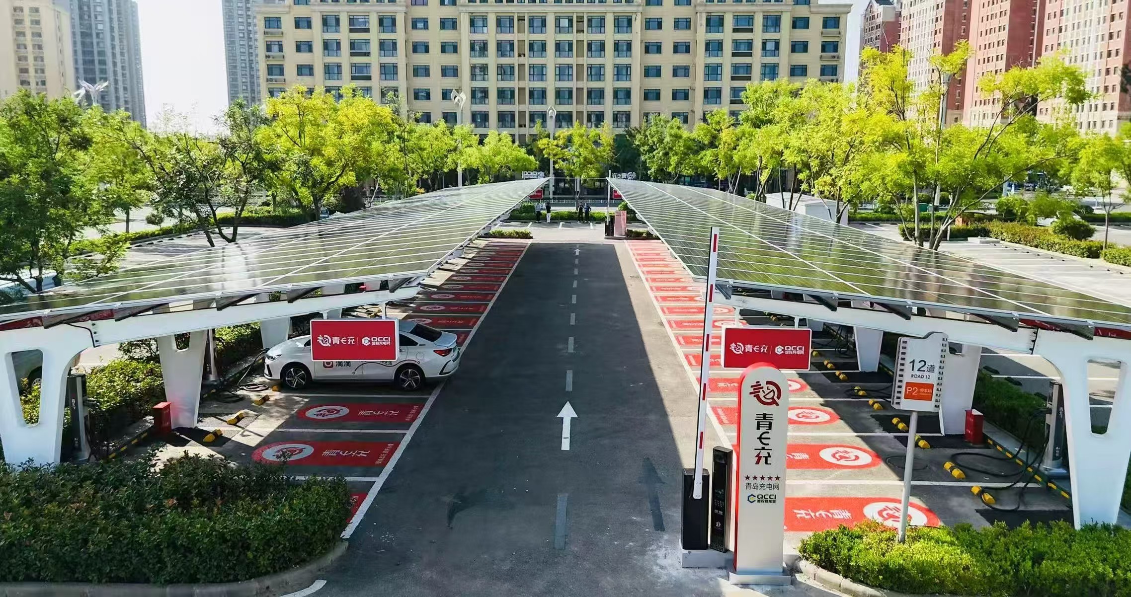 青岛市南：营商沃土育梧桐，招商有为引凤来