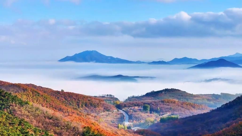 蓝天如洗，云海似涛，远山在云雾中若隐若现，山间层林尽染，红橙黄绿交织成斑斓画卷。张宁 摄