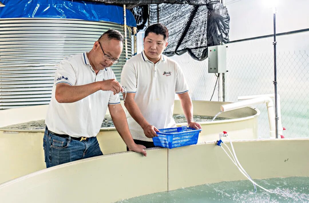 何忠杰（左一）查看鱼苗情况