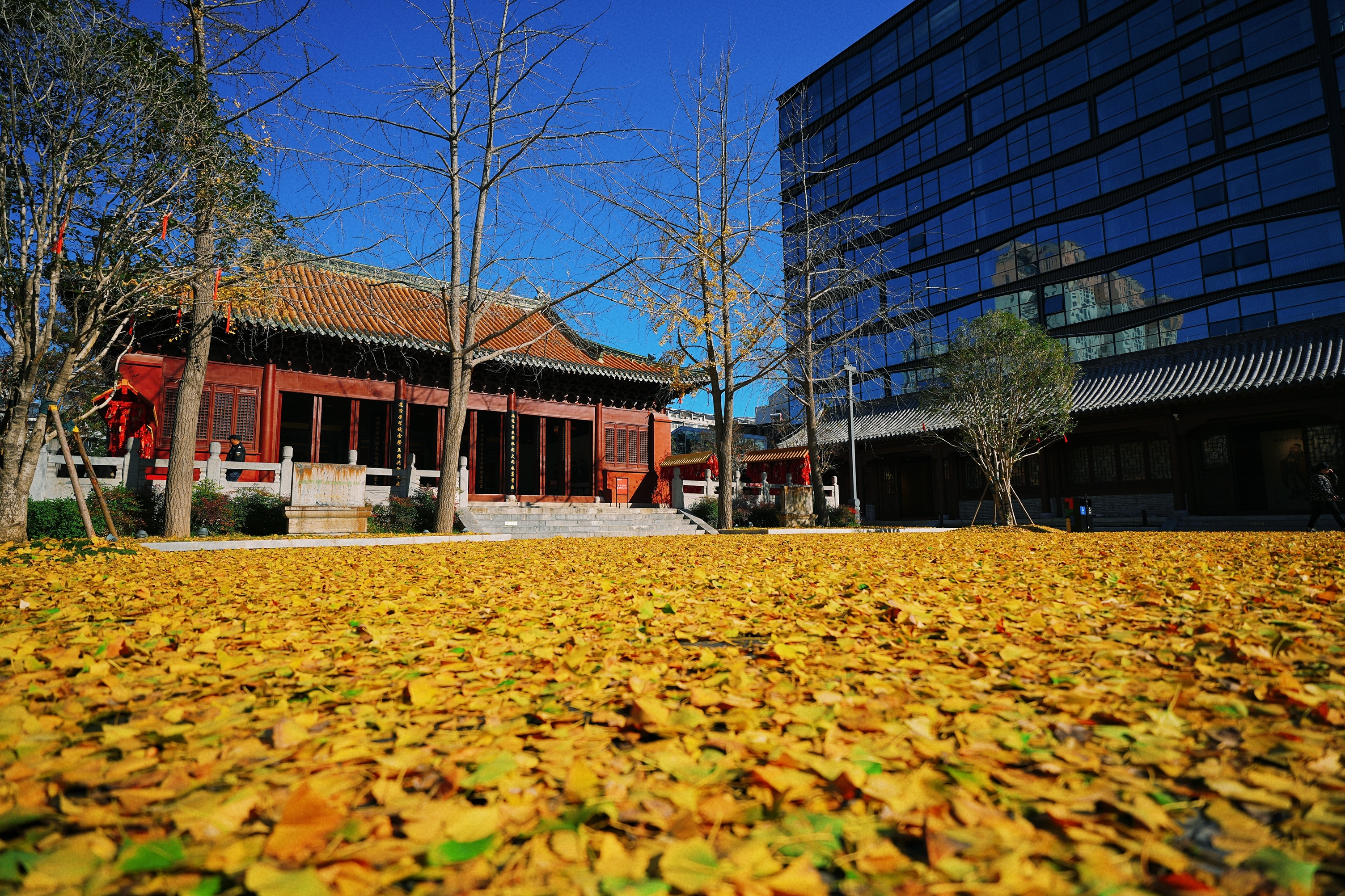 文脉里的新鼓楼：一曲“弦歌不辍”的时代和鸣