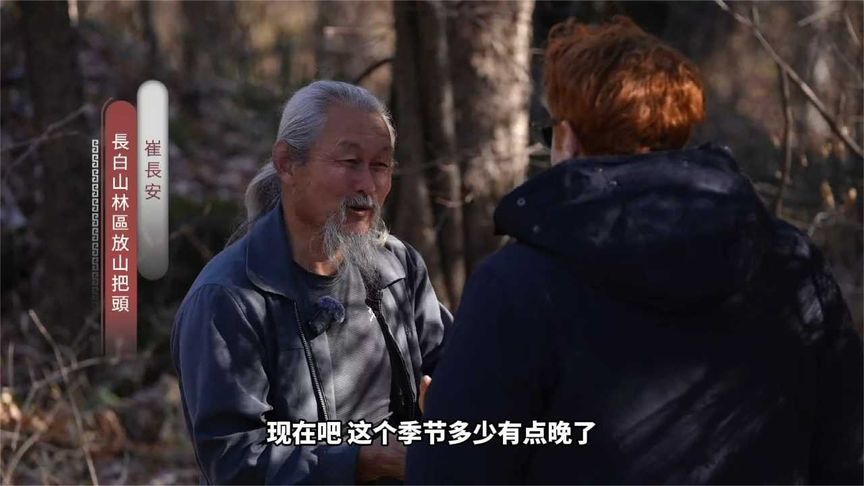 老外长白山深处挖人参，神秘“放山人”都会经历什么？