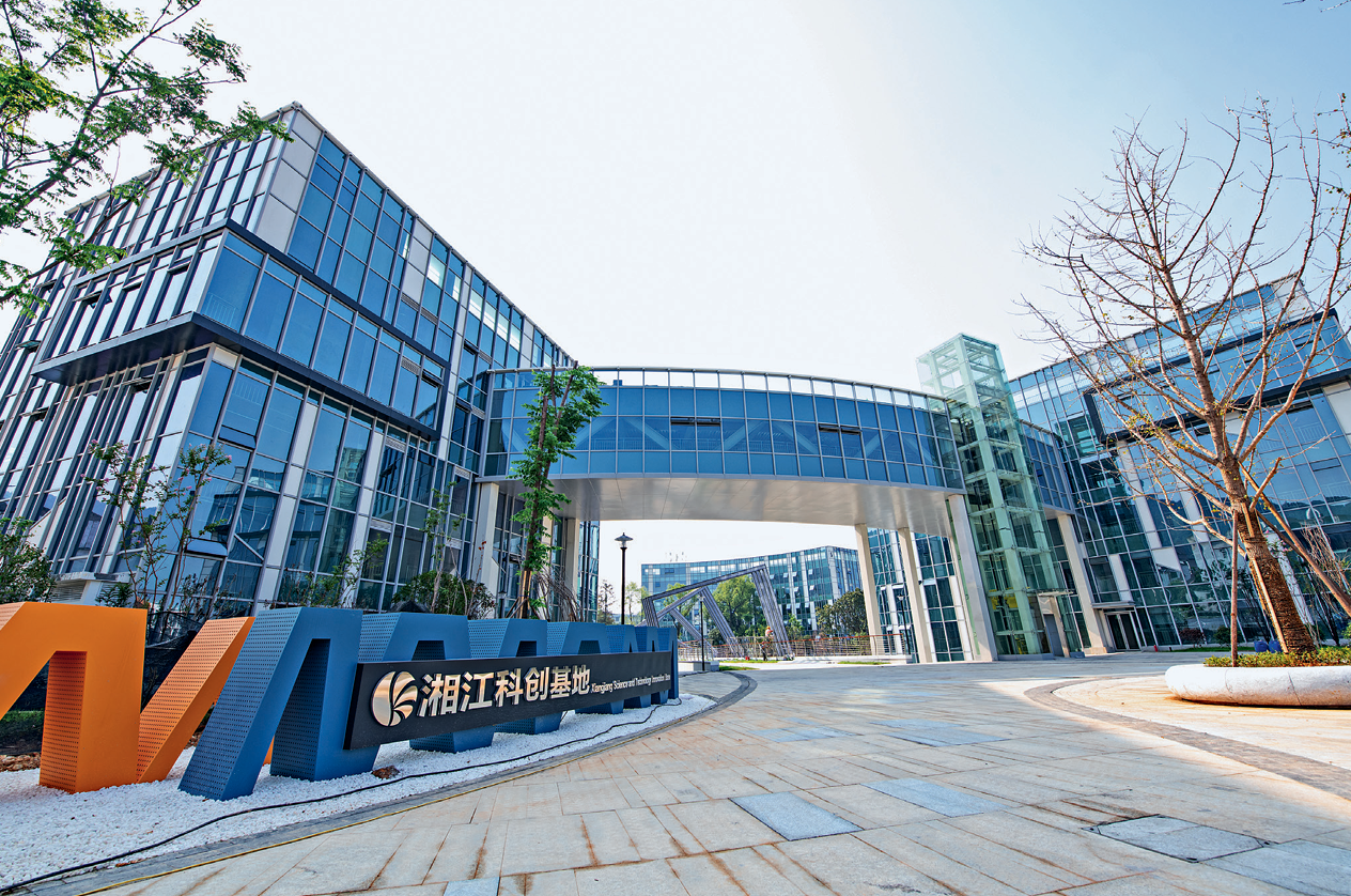 开篇概述|“科创雨林”百花香