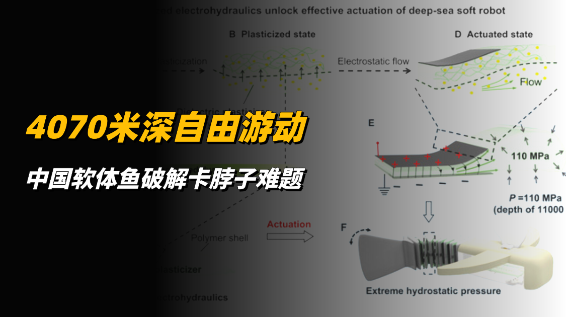 4070米深自由游动，中国软体鱼破解深海探测卡脖子难题
