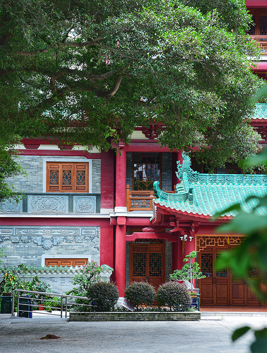 顾玉华：伽蓝草木证禅心，浅谈广州海幢寺的花木