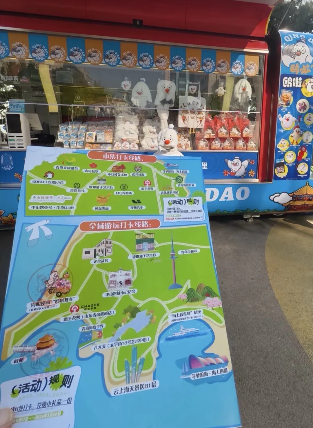 限定周边等你拿！青岛海鸥季打卡全攻略，超多玩法带你“鸥”遇青岛