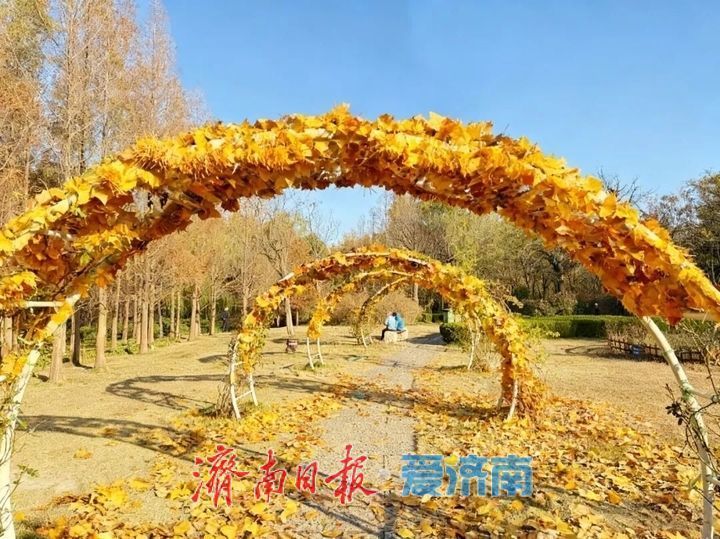 邂逅落叶的浪漫!公园景区解锁秋冬限定景色