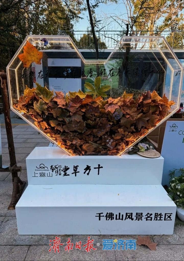 邂逅落叶的浪漫!公园景区解锁秋冬限定景色