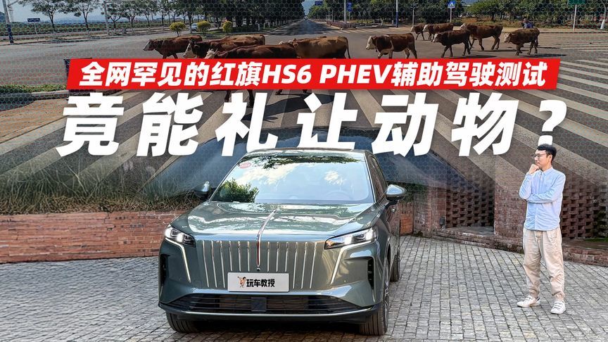 竟能礼让动物？全网罕见的红旗HS6 PHEV辅助驾驶测试