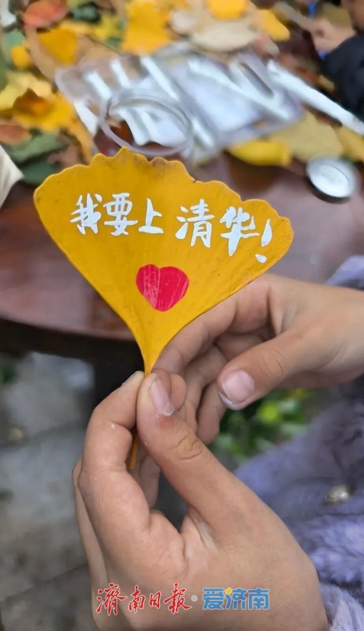 邂逅落叶的浪漫!公园景区解锁秋冬限定景色