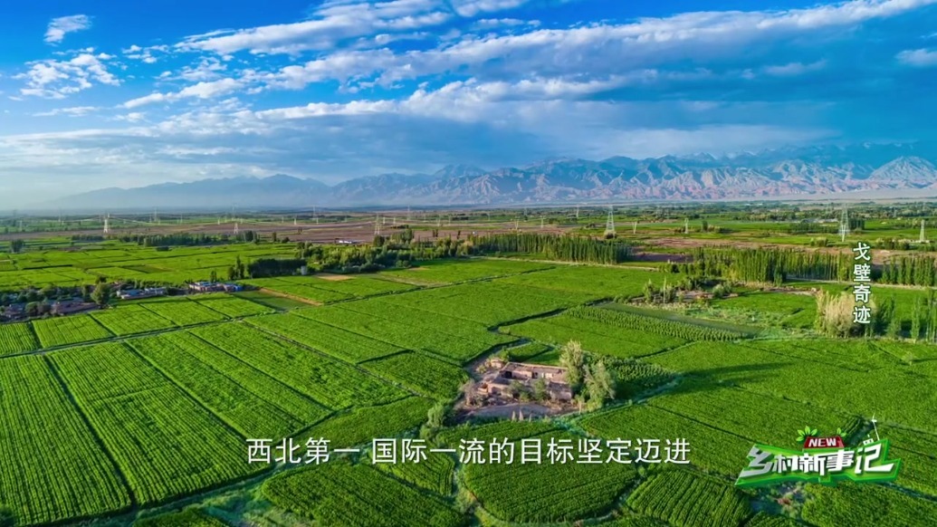 向国际一流目标迈进　甘肃肃州戈壁农业上大分