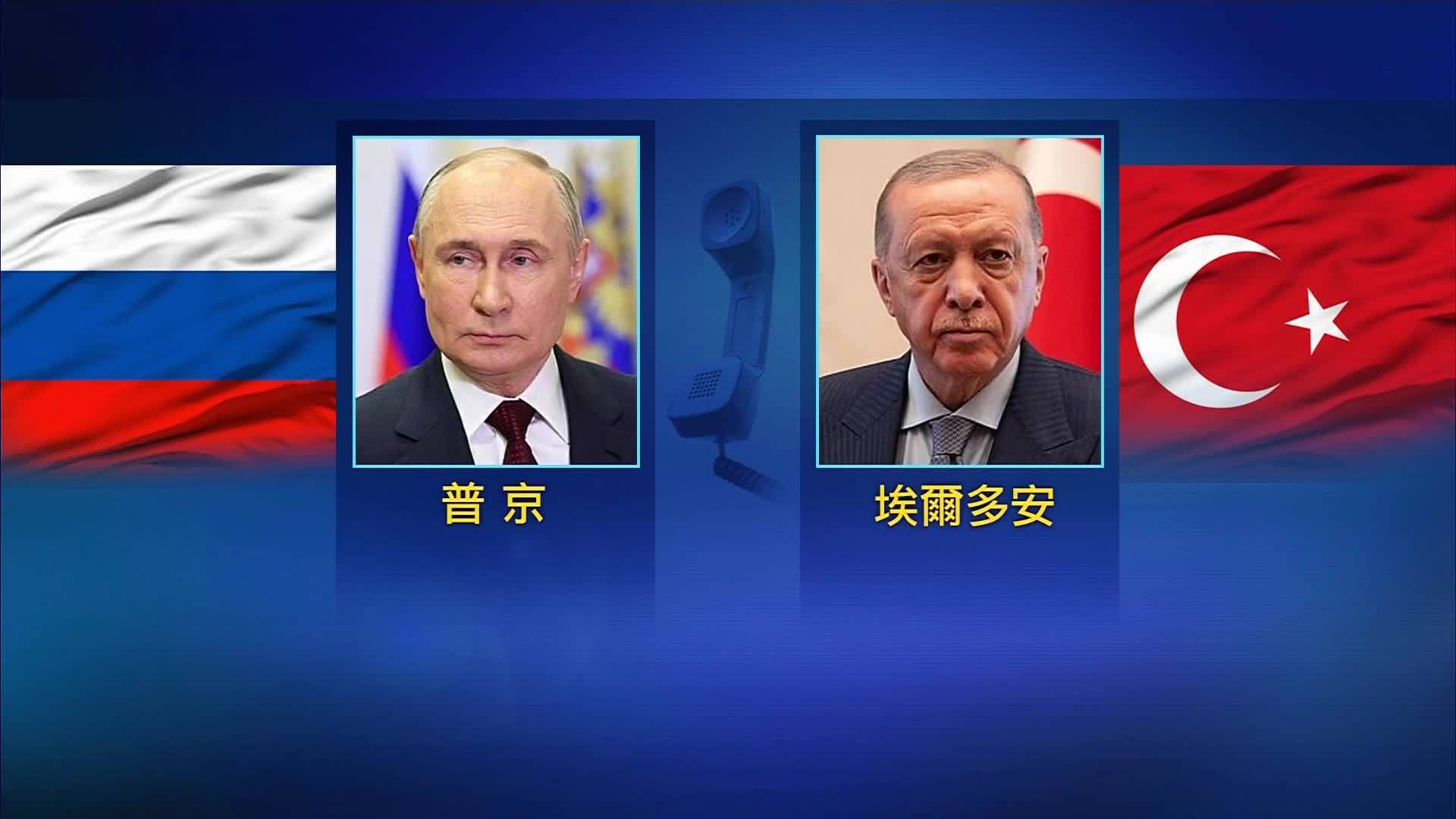 普京与埃尔多安通电话 讨论乌克兰局势