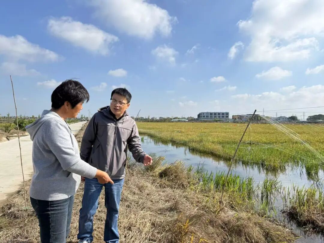 一田双收，稻香虾肥！就在余姚这些地方