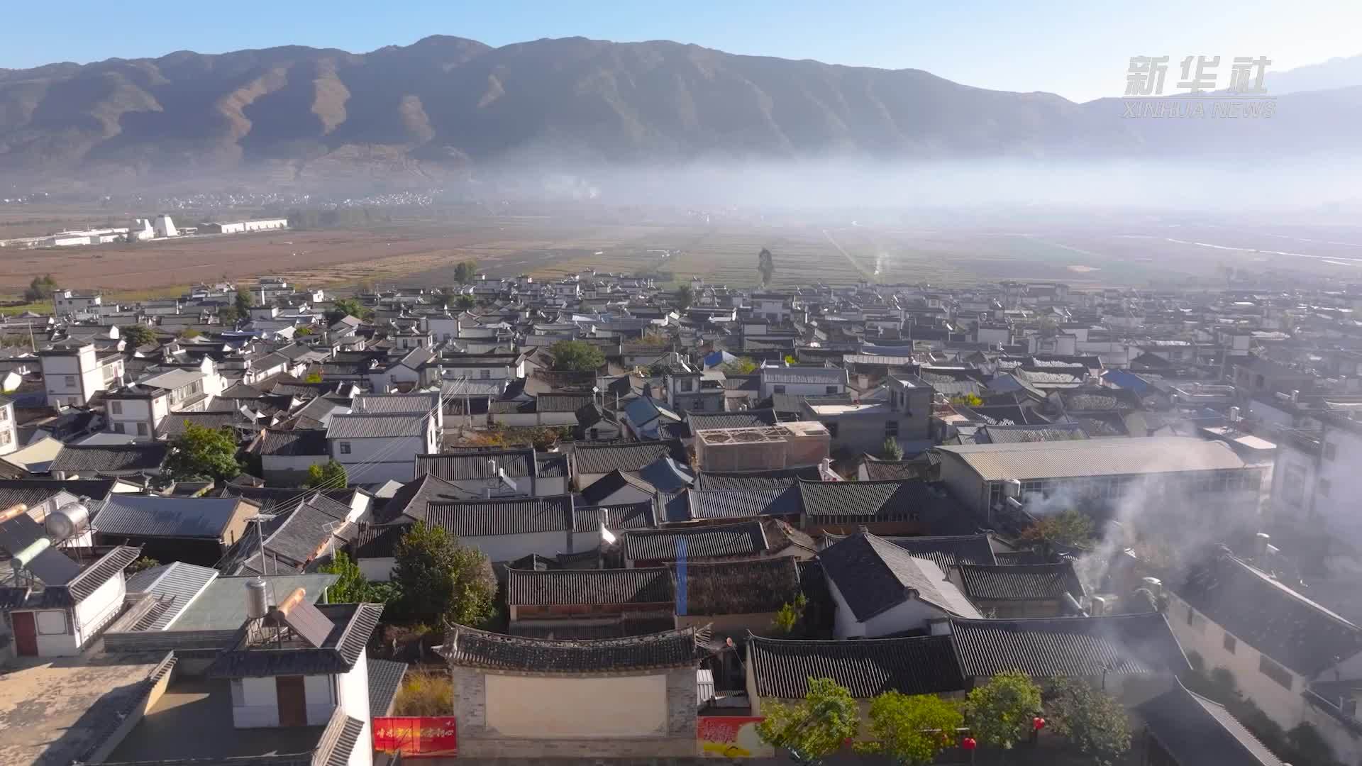 大理凤羽：一棵银杏带火一座古镇