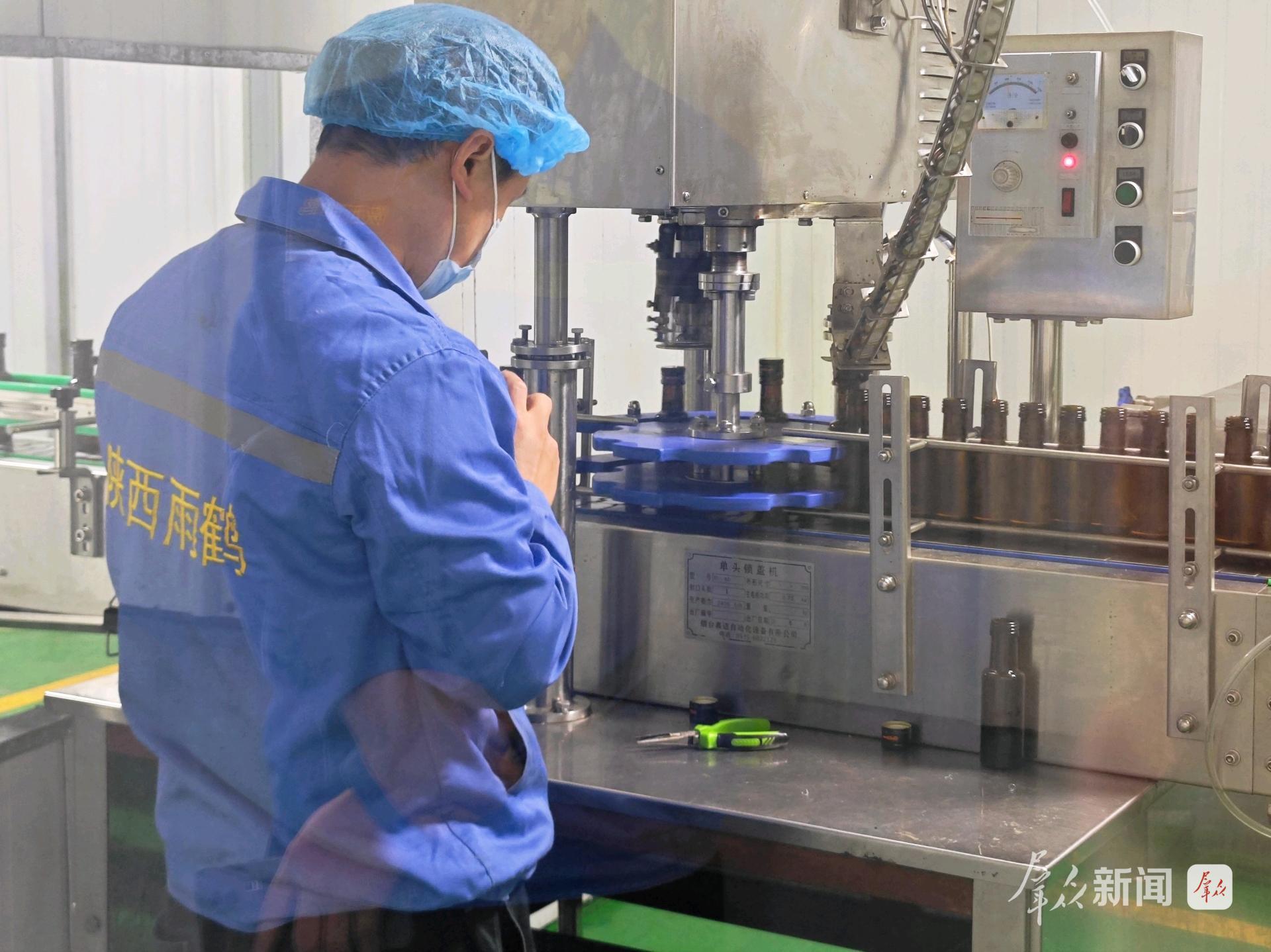 商洛:小核桃闯荡大世界