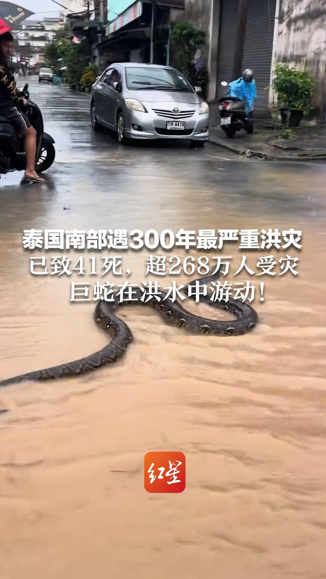 泰国南部遇300年最严重洪灾 已致41死，超268万人受灾 巨蛇在洪水中游动！军方万吨航母出动变临时医院