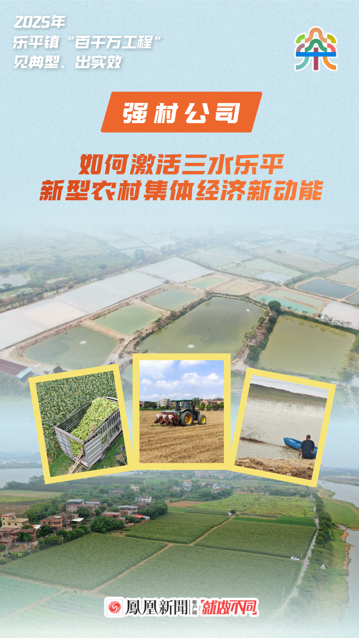 凤凰观察|强村公司，如何激活三水乐平新型农村集体经济新动能？