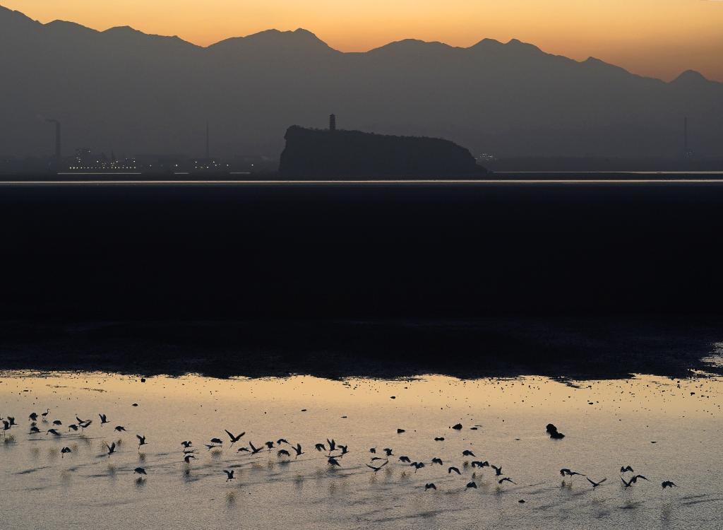 新华社照片,九江(江西),2025年11月27日