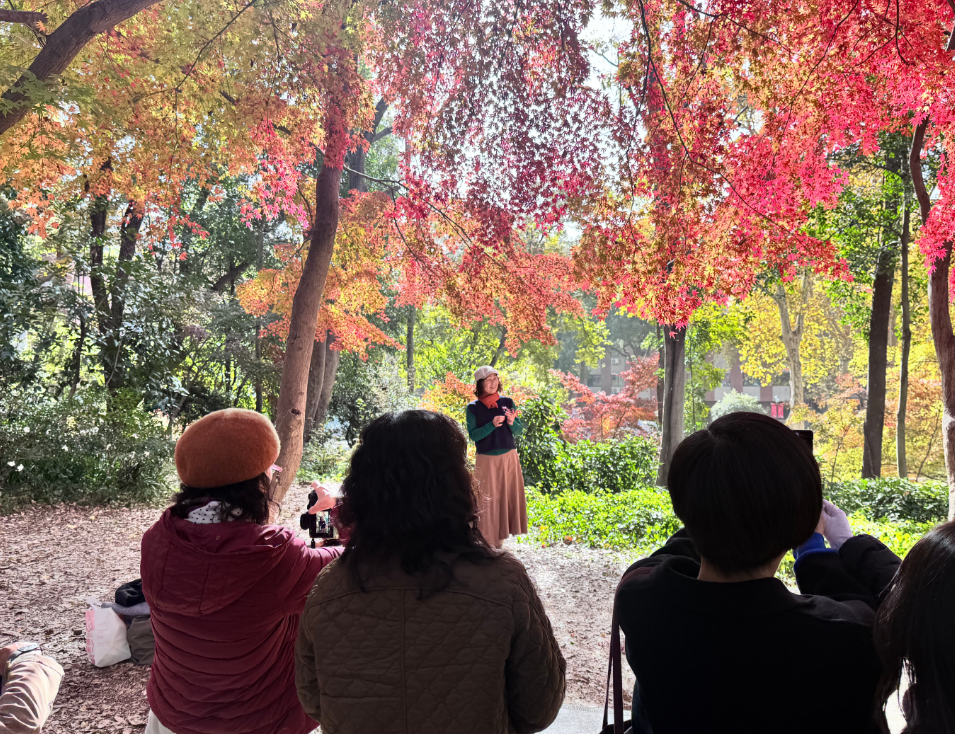 冬日里的斑斓盛宴！快来南京中山植物园打卡红叶展