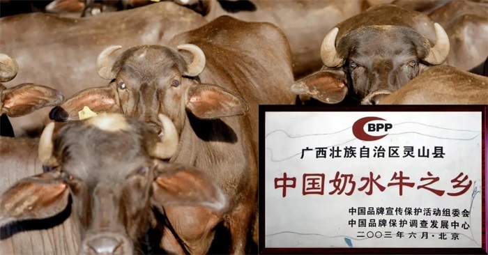 点击查看原始图片