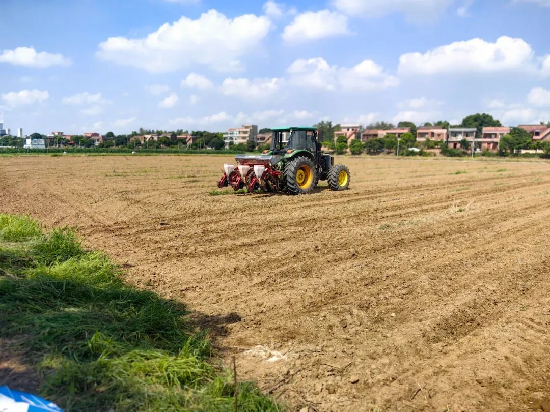 图：玉米种植基地采用全机械化播种，提高工作效率、降低生产成本