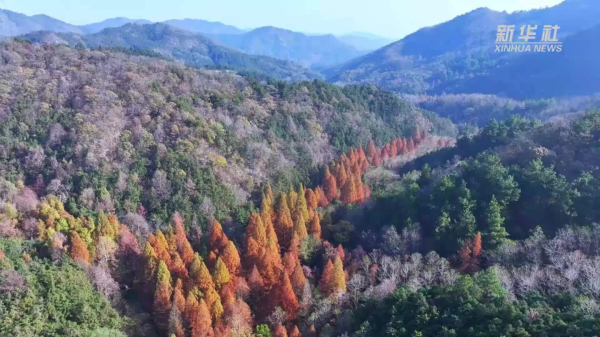 千城胜景｜河南罗山：层林尽染藏冬韵