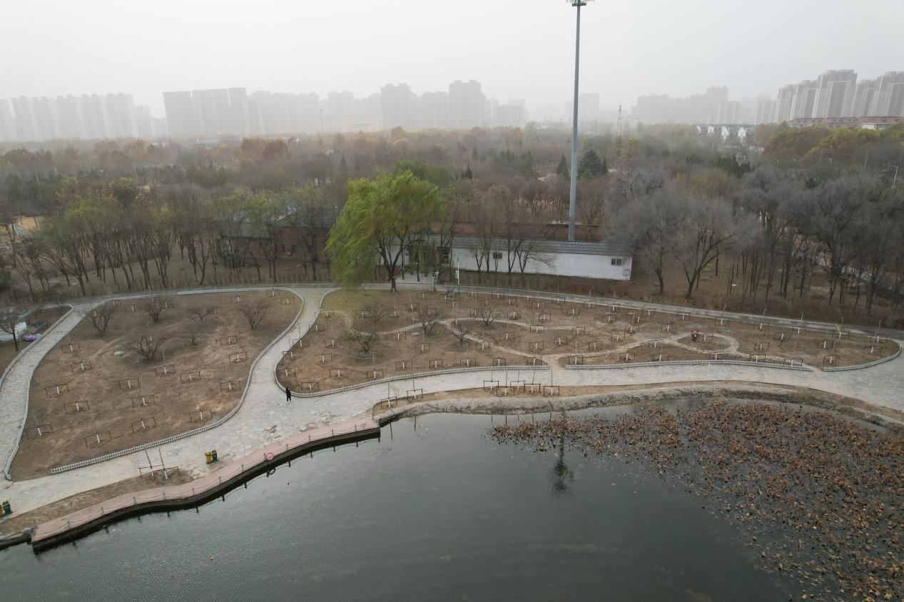 图：保定市植物园岩生水生园南侧