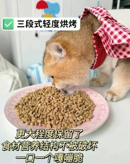 点击查看原始图片