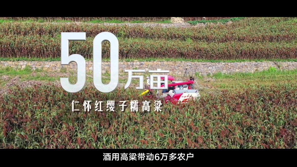 为了一瓶好酒：30万人如何共同守护一条河、一座城