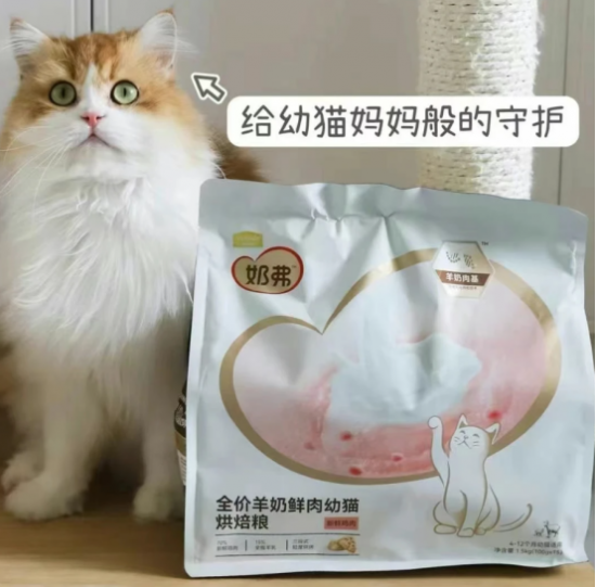 点击查看原始图片