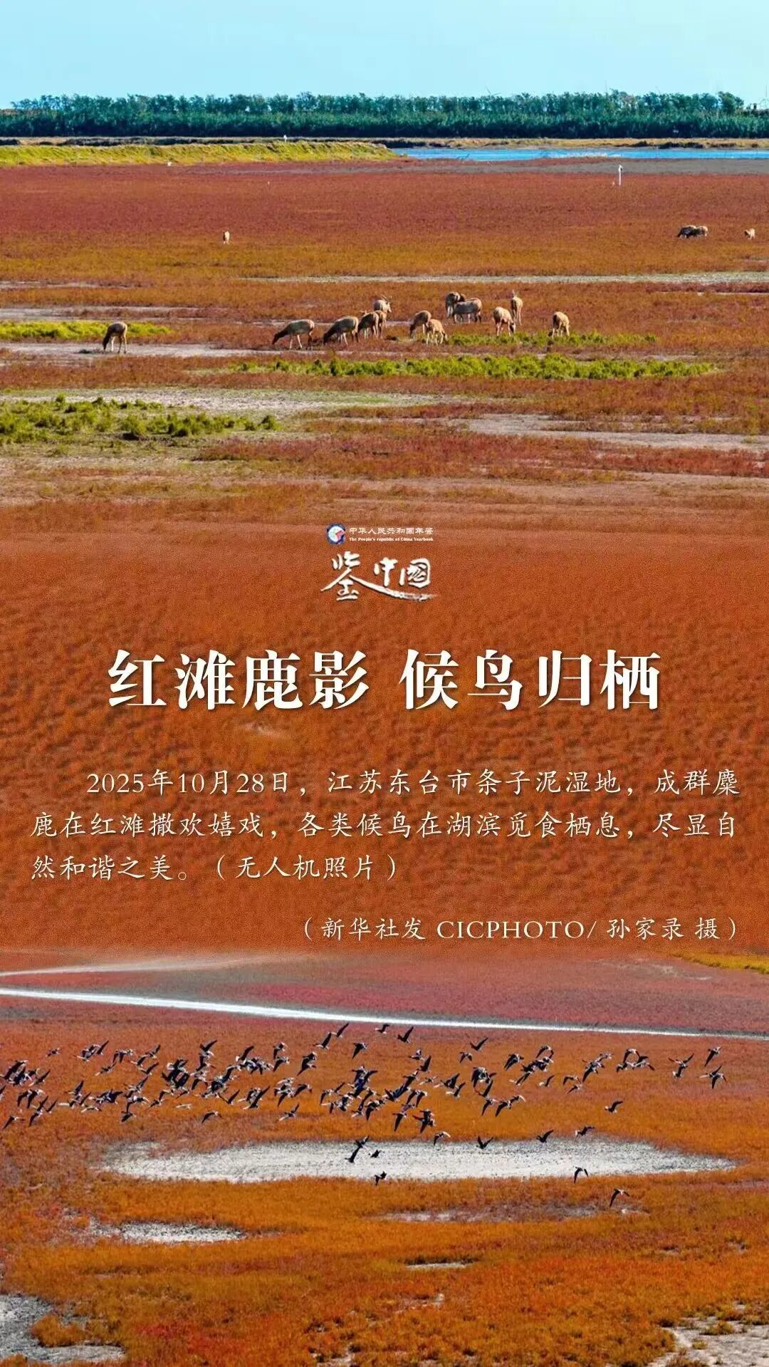 【湿地快讯】江苏省东台市条子泥美图入选《中华人民共和国年鉴》凤凰网江苏_凤凰网