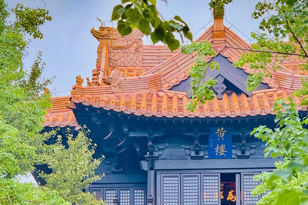 文脉里的新鼓楼：一曲“弦歌不辍”的时代和鸣