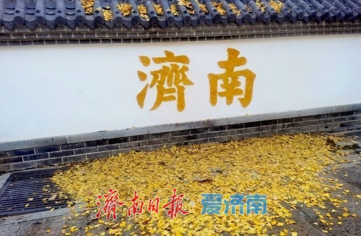 邂逅落叶的浪漫!公园景区解锁秋冬限定景色