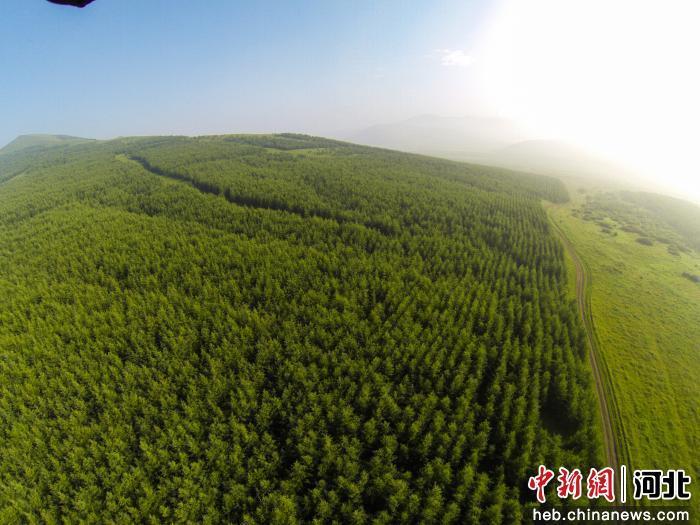 丰宁千松坝林场黄金沟工程。(资料图)承德市林业和草原局供图