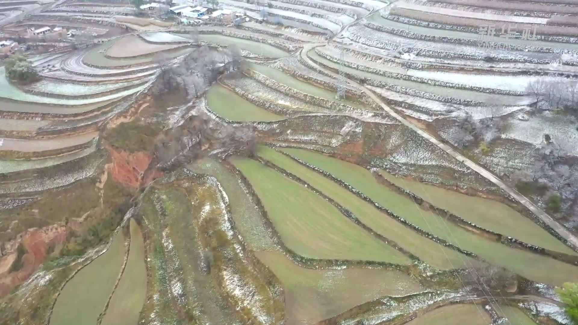 甘肃定西：“冬麦北移”提质增效