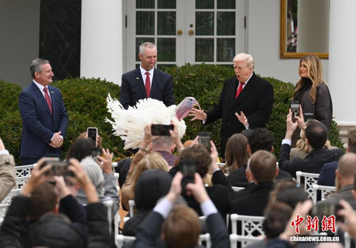 当地时间11月25日,华盛顿,美国总统特朗普在白宫赦免2025年感恩节幸运火鸡“咯咯”(Gobble)。中新社记者 陈孟统 摄