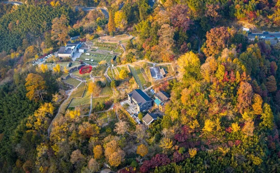 茅镬村秋意正浓