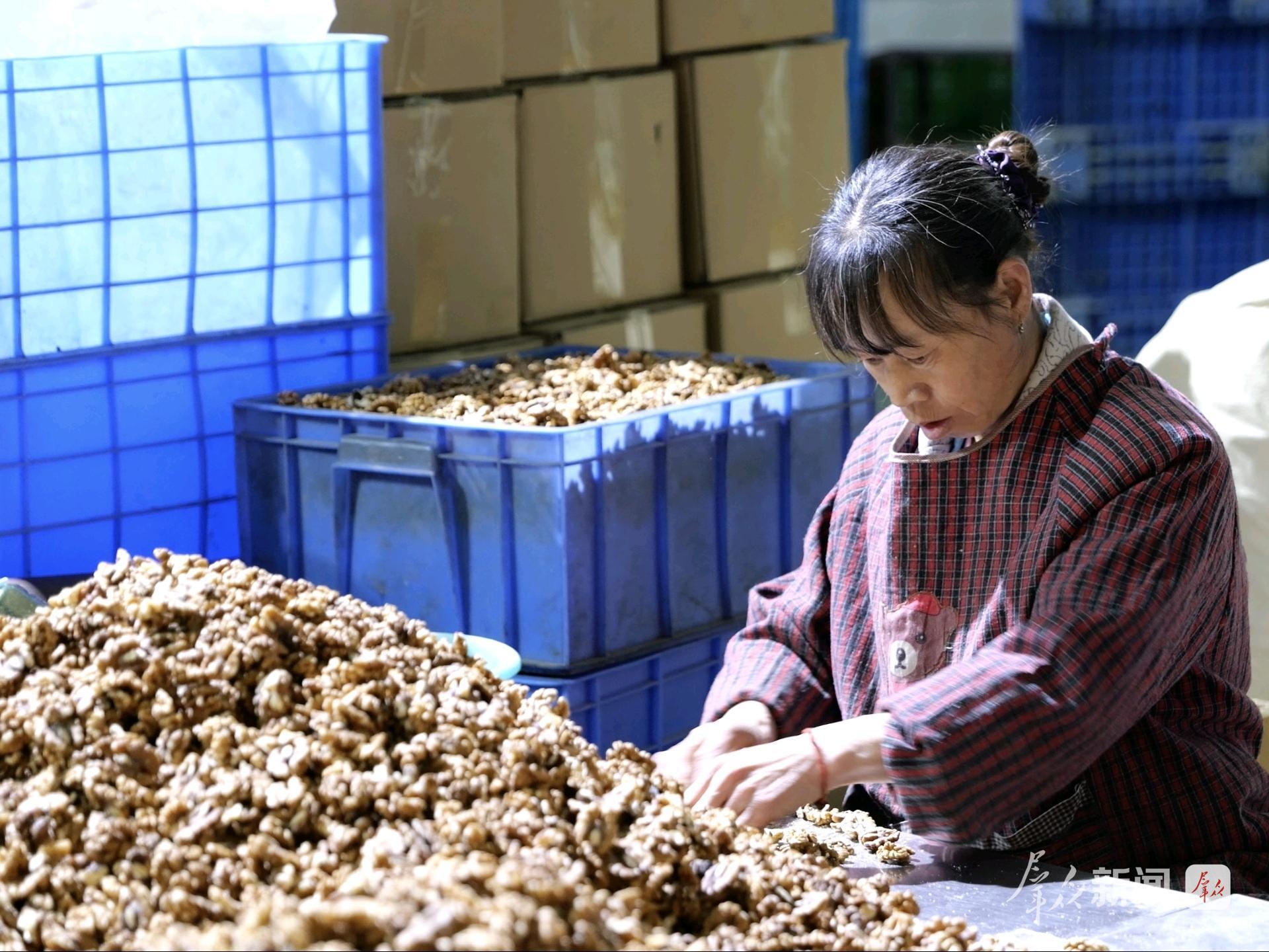 商洛:小核桃闯荡大世界