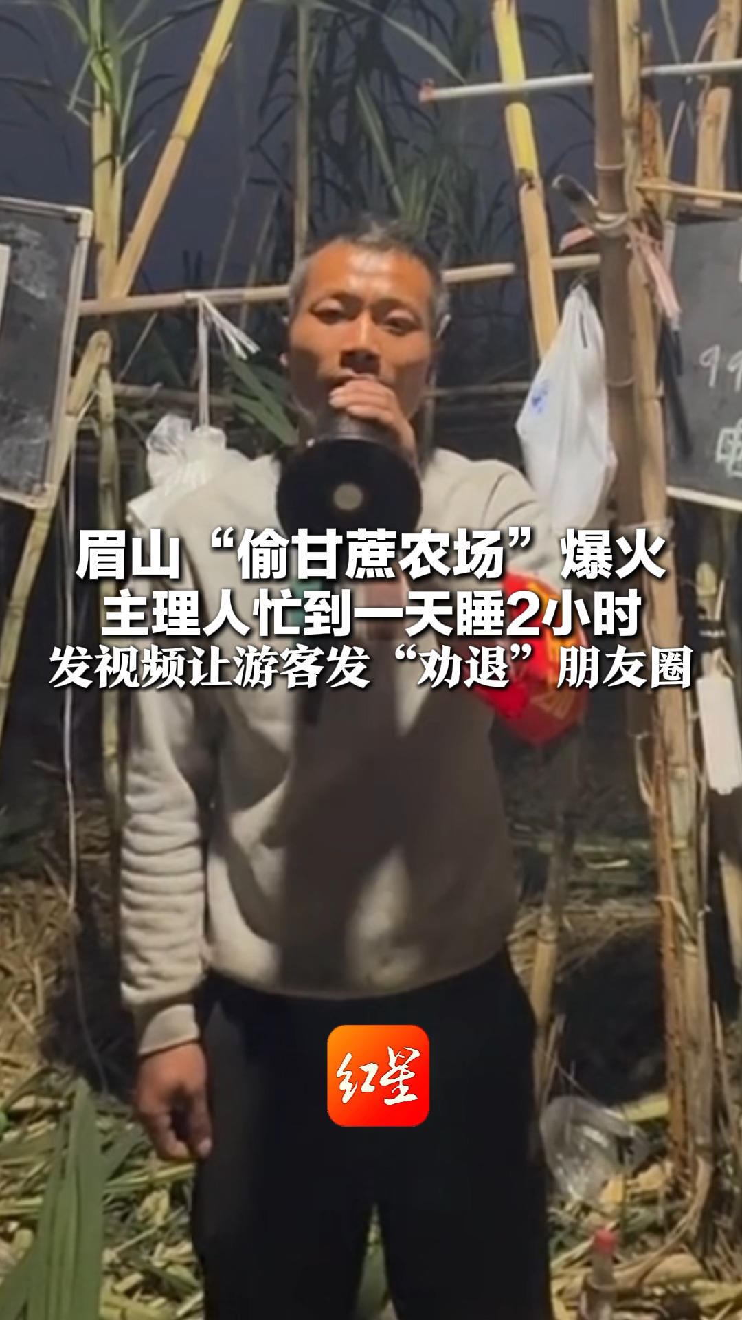 眉山“偷甘蔗农场”爆火 主理人忙到一天睡2小时 发视频让游客发“劝退”朋友圈 就说这里不好玩 不要来了