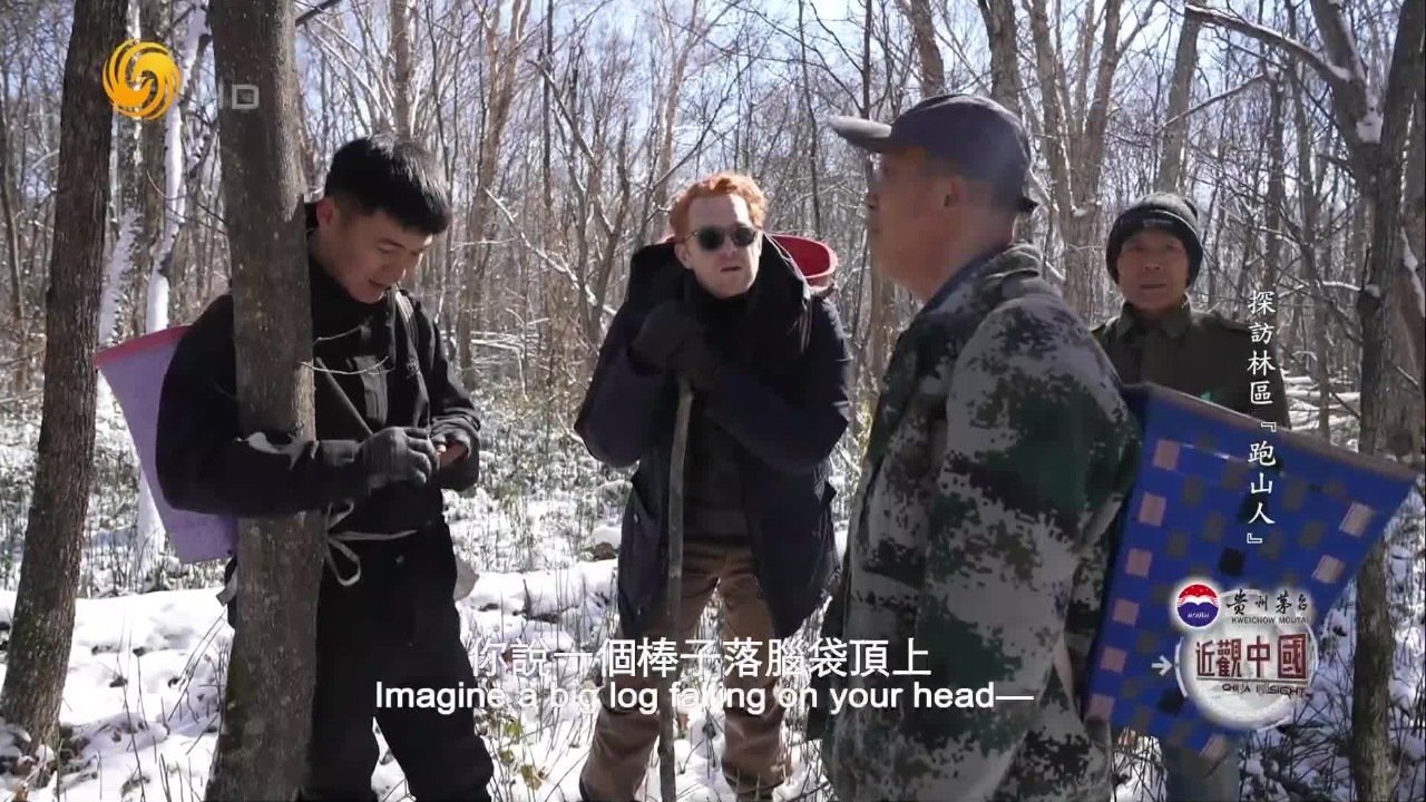 进山找山货很容易？危险往往就藏在你最意想不到之处