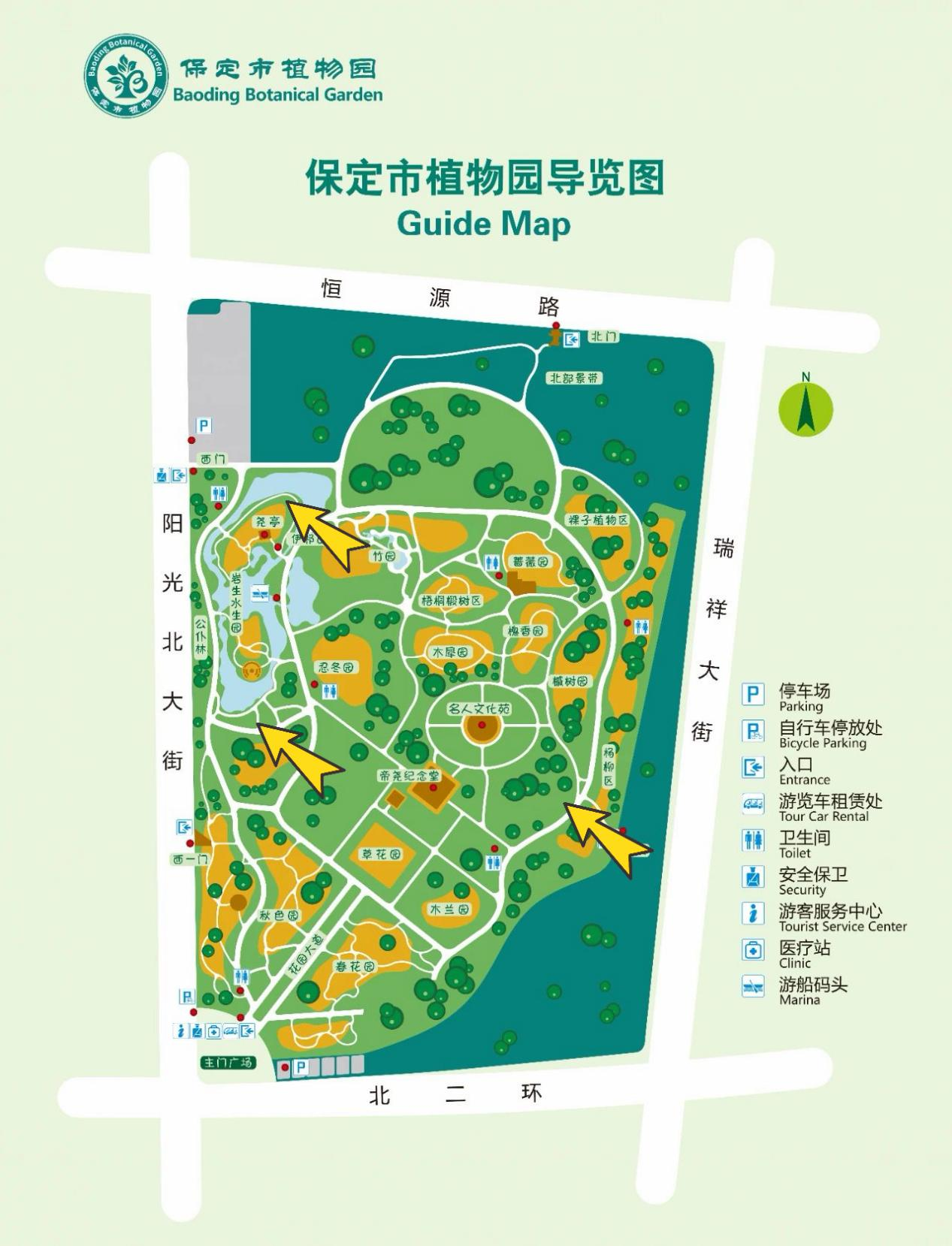 图：黄色箭头为密胡杨栽植位置