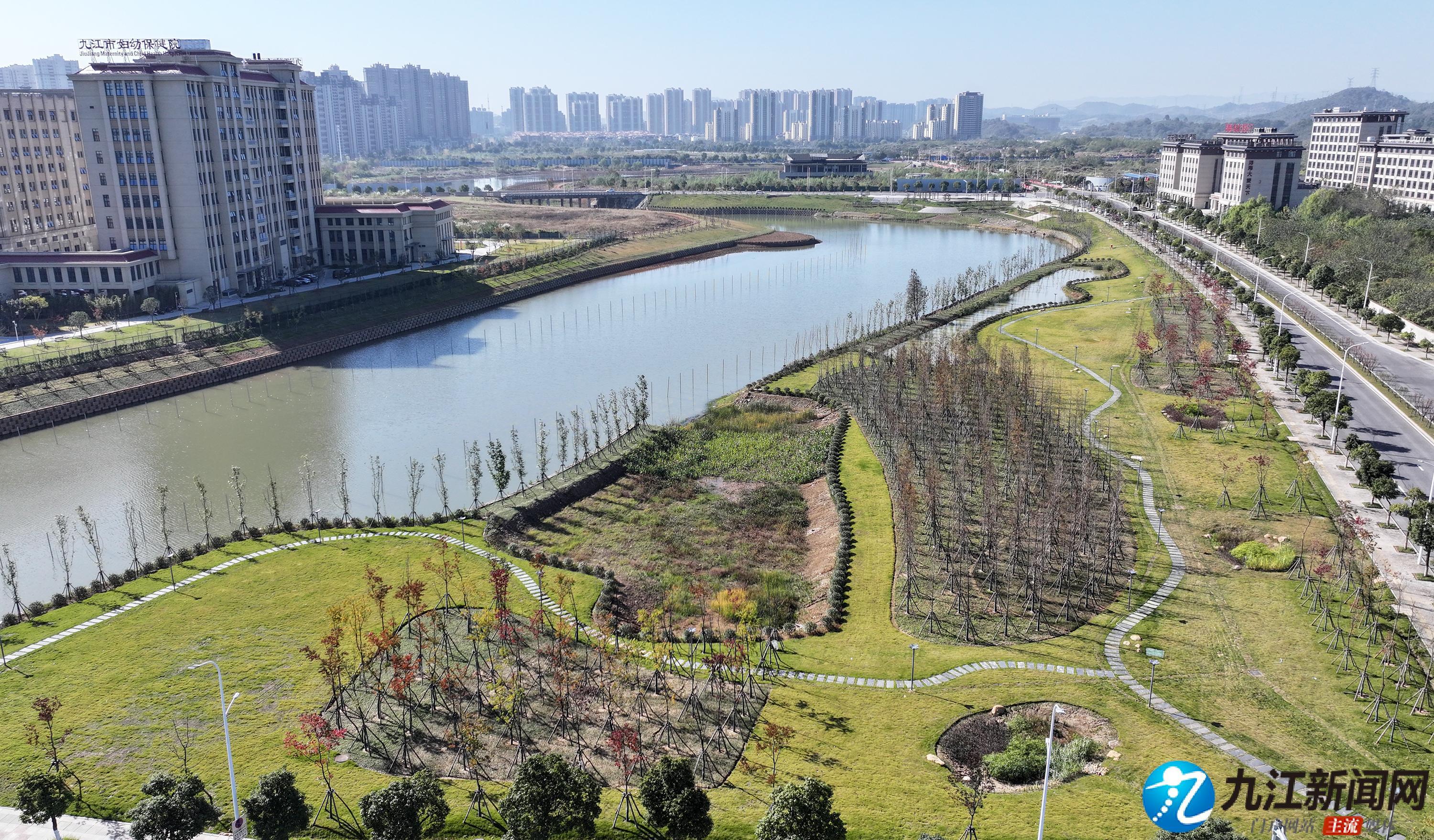 九江蛟滩河生态修复成效显著