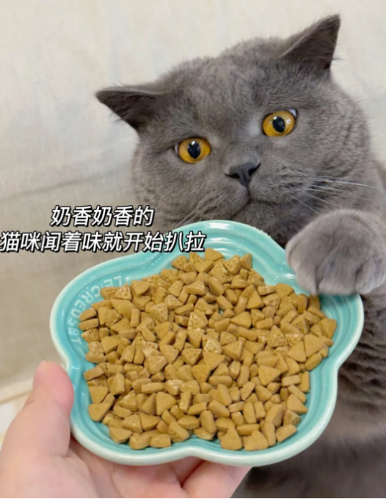 点击查看原始图片