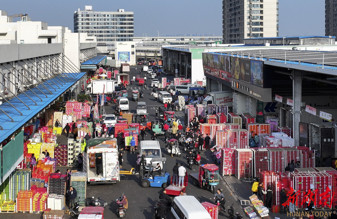 长沙市雨花区红星全球农批中心。湖南日报全媒体记者 辜鹏博 摄