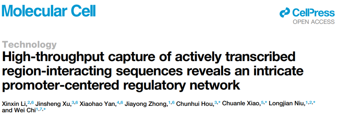 迟玮教授和牛龙见研究员团队在《Molecular Cell》发表重要突破成果——揭示基因调控网络的新方式!