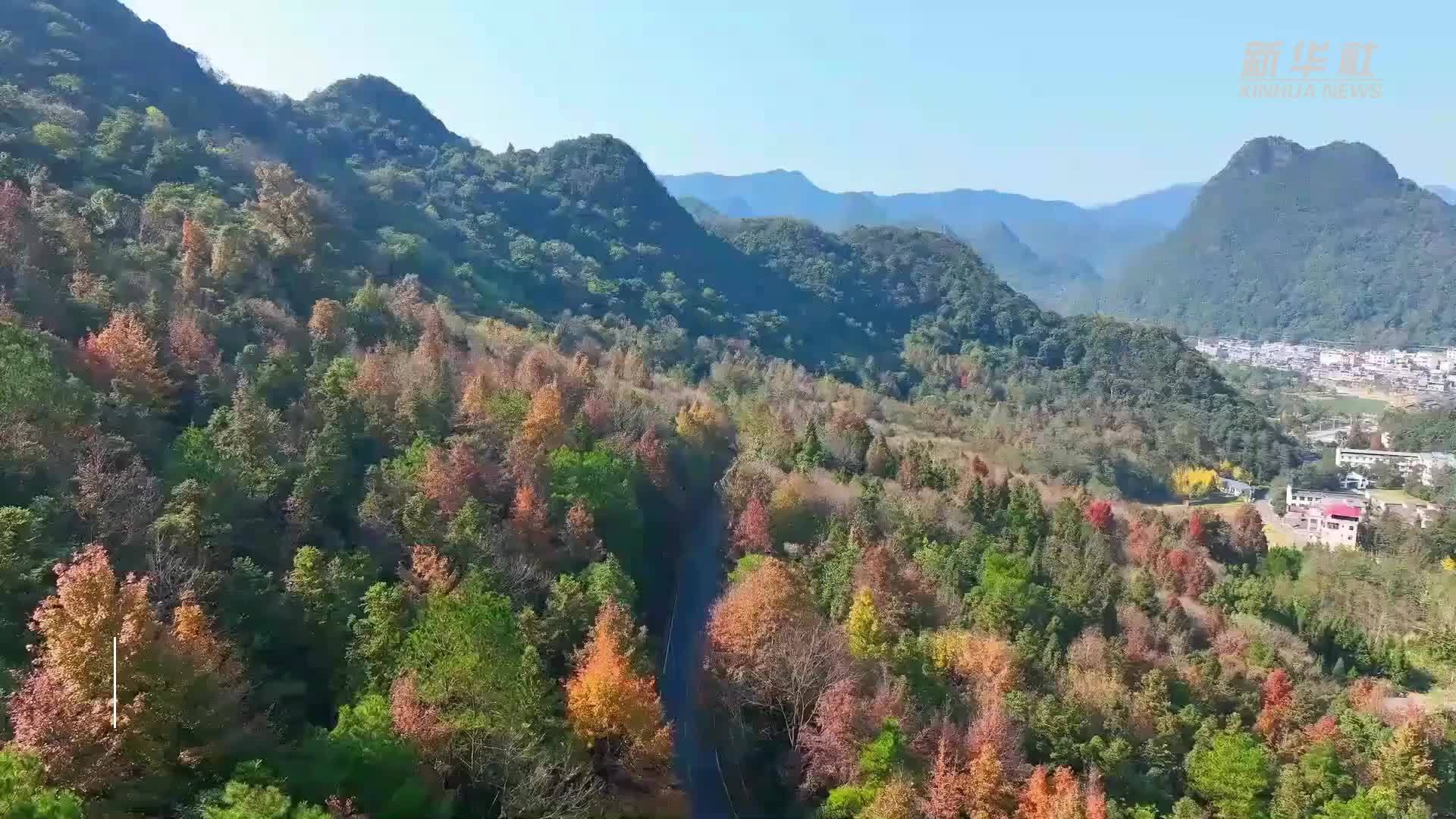 湖南宁远：舜源峰“枫”景如画