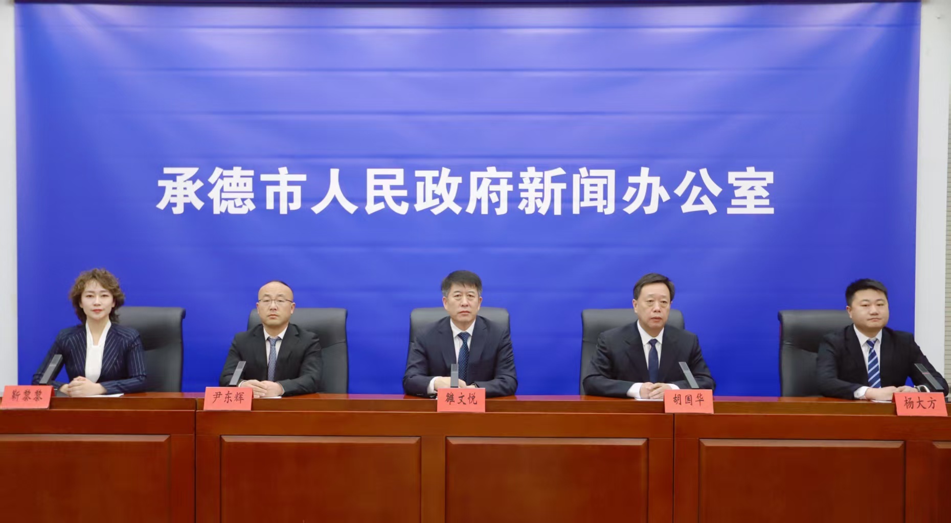 发布会 王占平摄