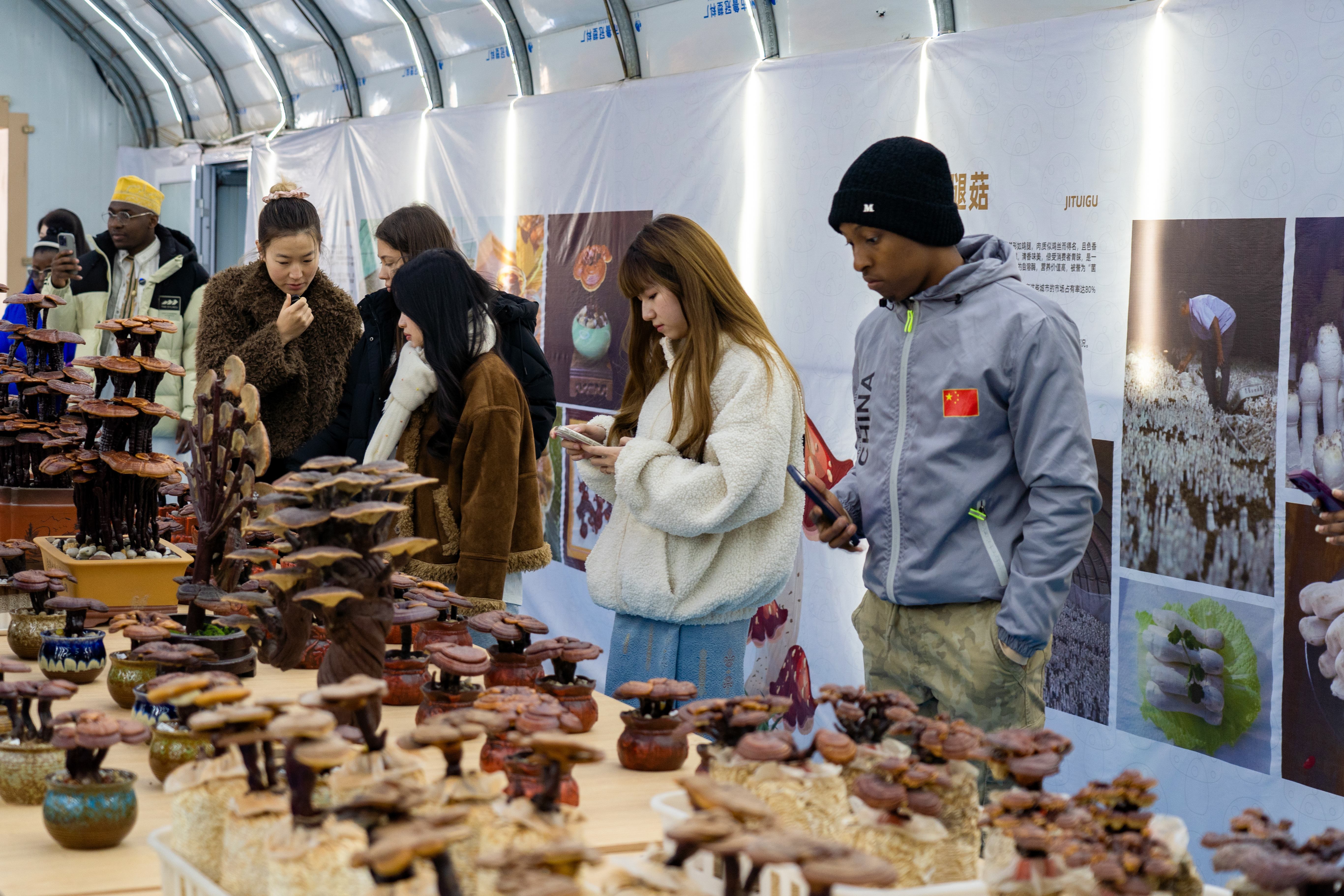 精彩“经开六小时”,惊艳外籍留学生