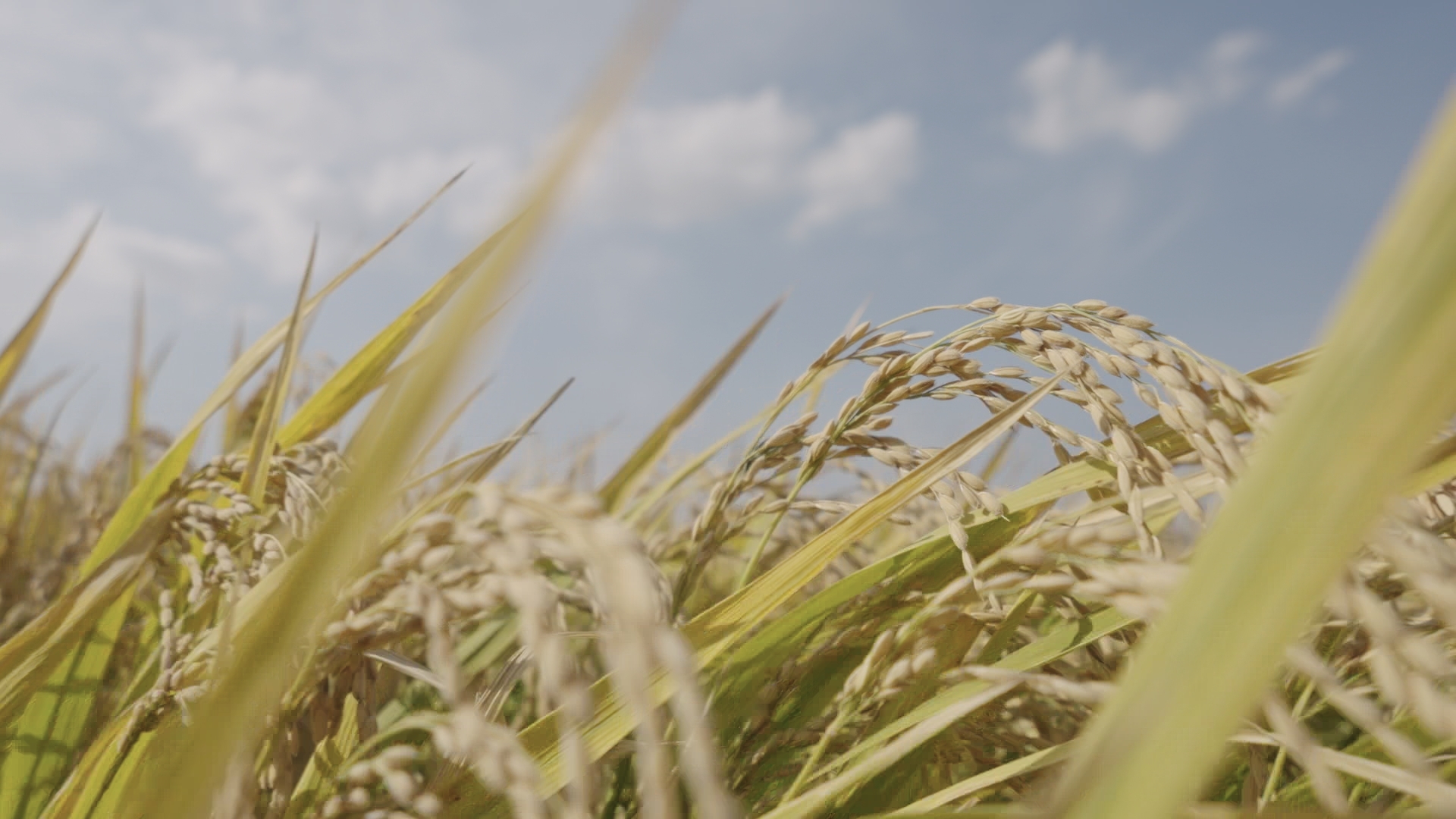 一部“行走的”中国经济学：《理响中国·解码经济+》