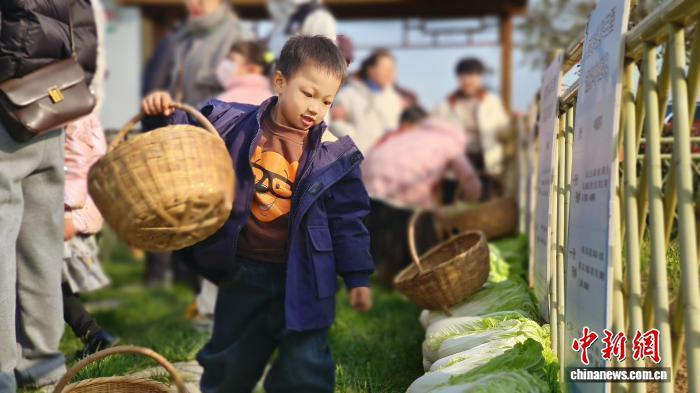 图为来到四皓村种地采摘的“新村民”。(资料图)西安市长安区供图