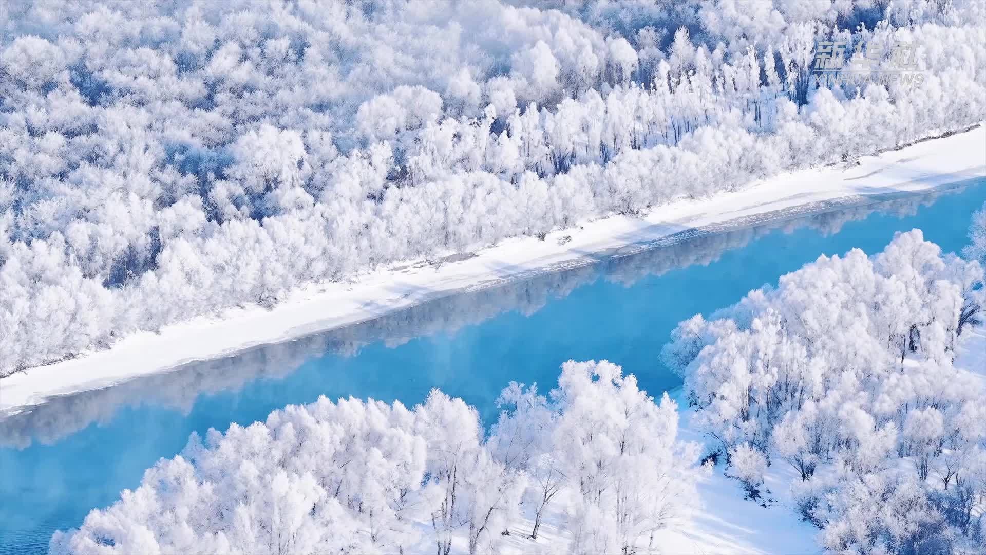 千城胜景｜额尔古纳湿地迎雾凇景观